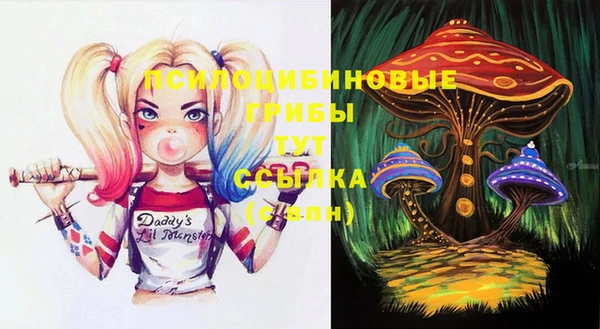 сатива Алзамай